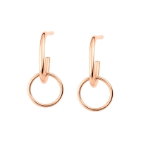 tiny circle drop earrings