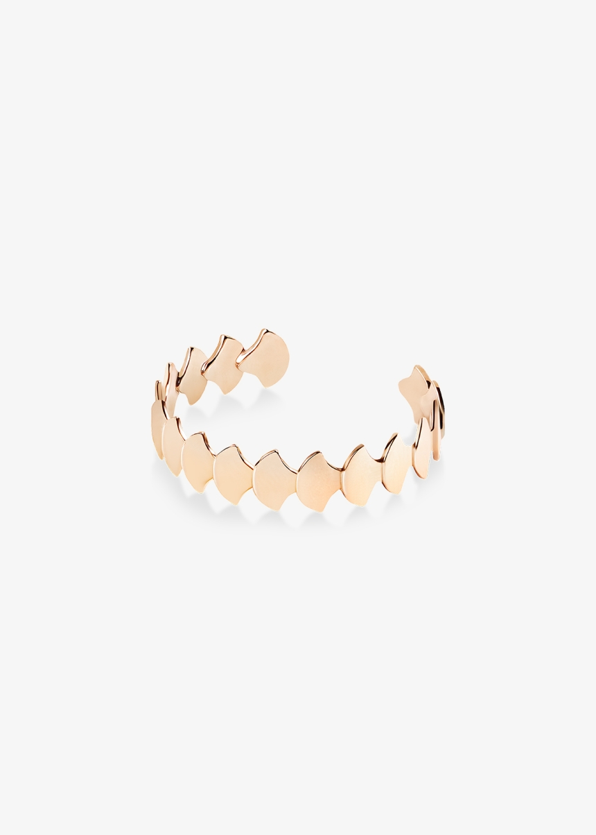 koi band
