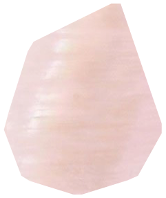 Nacre Rose
